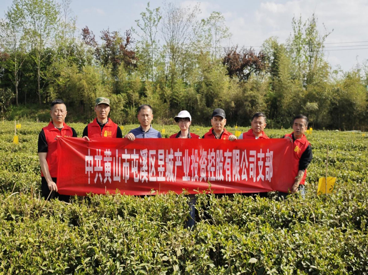 昱城產(chǎn)投公司黨支部開展“茶香潤初心，黨旗映茶園”主題黨日活動(dòng)